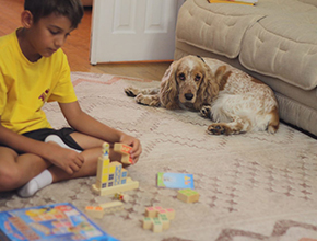 скорочтение